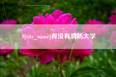 浚县有没有消防大学