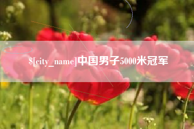 浚县中国男子5000米冠军