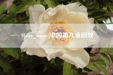 浚县中国第九金回放