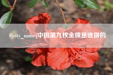 浚县中国第九枚金牌是谁得的