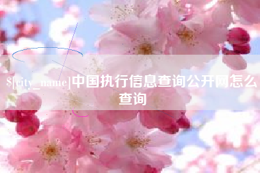 浚县中国执行信息查询公开网怎么查询