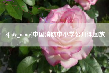 浚县中国消防中小学公开课回放