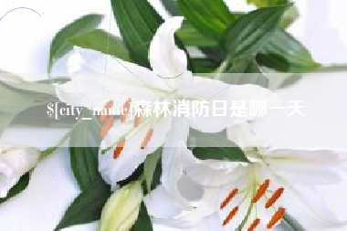 浚县森林消防日是哪一天