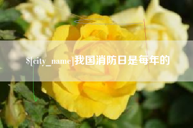浚县我国消防日是每年的