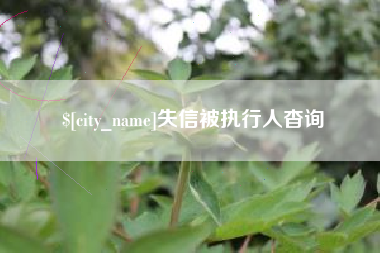 浚县失信被执行人杳询