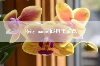 浚县邱县王子磊