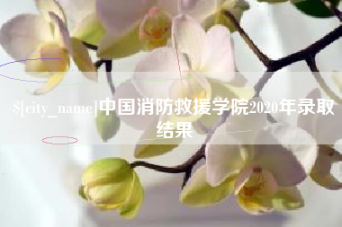 浚县中国消防救援学院2020年录取结果