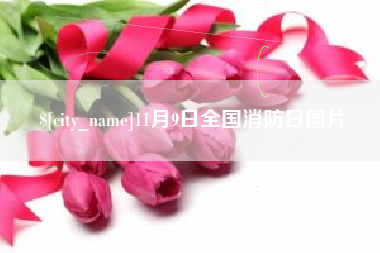 浚县11月9日全国消防日图片