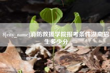 浚县消防救援学院报考条件湖南招生多少分