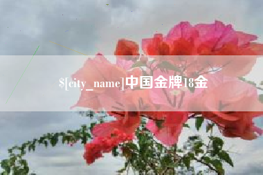 浚县中国金牌18金