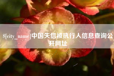 浚县中国失信被执行人信息查询公开网址