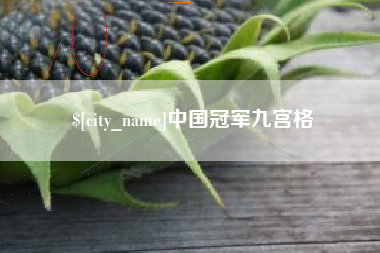 浚县中国冠军九宫格
