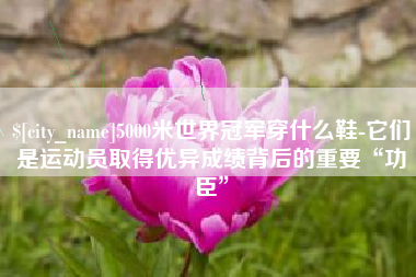 浚县5000米世界冠军穿什么鞋-它们是运动员取得优异成绩背后的重要“功臣”