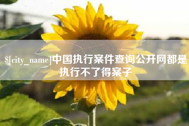 浚县中国执行案件查询公开网都是执行不了得案子