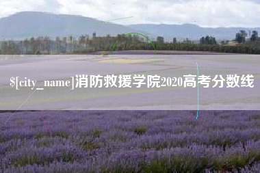浚县消防救援学院2020高考分数线