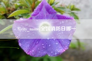 浚县全国消防日哪一