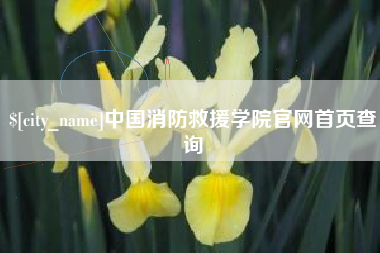 浚县中国消防救援学院官网首页查询