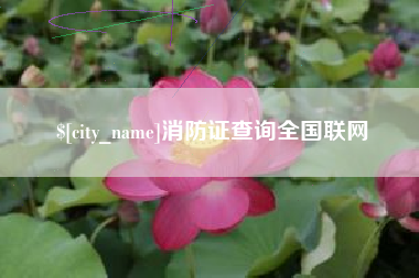 浚县消防证查询全国联网