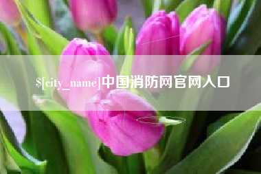 浚县中国消防网官网入口