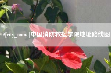 浚县中国消防救援学院地址路线图