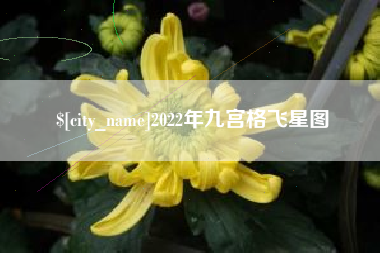 浚县2022年九宫格飞星图
