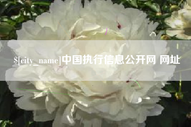 浚县中国执行信息公开网 网址
