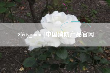 浚县中国消防产品官网