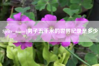 浚县男子五千米的世界纪录是多少