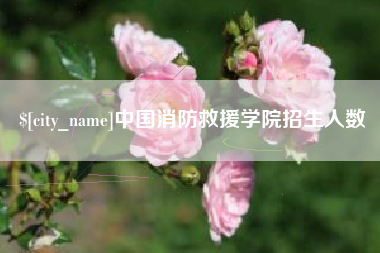 浚县中国消防救援学院招生人数