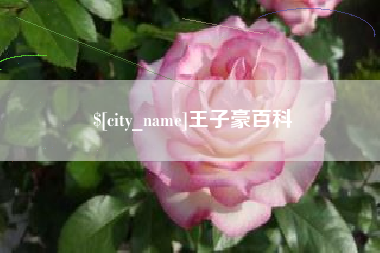 浚县王子豪百科
