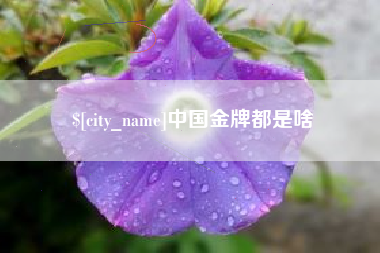 浚县中国金牌都是啥