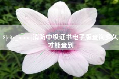 浚县消防中级证书电子版查询多久才能查到