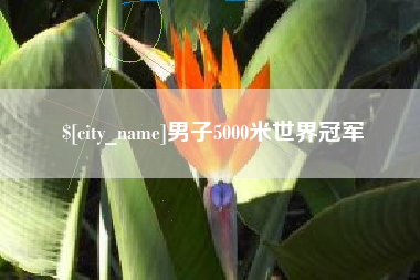 浚县男子5000米世界冠军