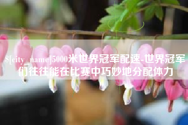 浚县5000米世界冠军配速-世界冠军们往往能在比赛中巧妙地分配体力