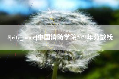 浚县中国消防学院2024年分数线