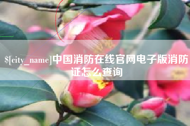 浚县中国消防在线官网电子版消防证怎么查询