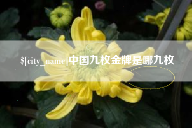浚县中国九枚金牌是哪九枚