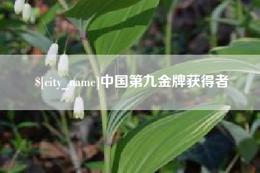 浚县中国第九金牌获得者
