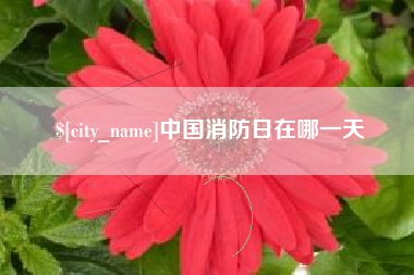 浚县中国消防日在哪一天