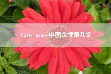 浚县中国金牌第九金