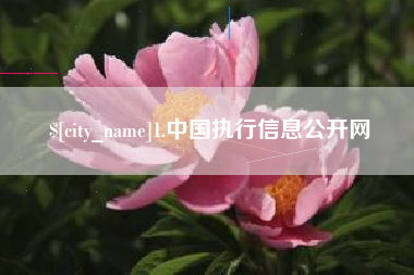 浚县1.中国执行信息公开网