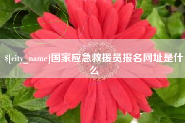浚县国家应急救援员报名网址是什么