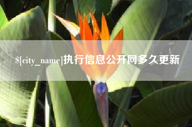 浚县执行信息公开网多久更新