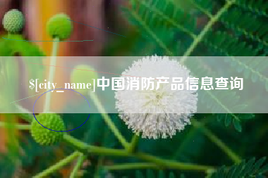 浚县中国消防产品信息查询
