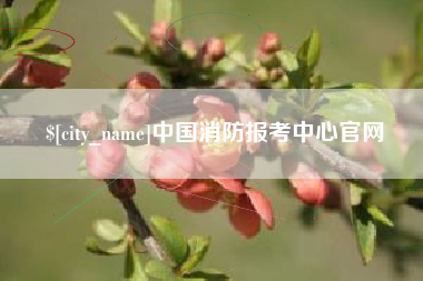 浚县中国消防报考中心官网