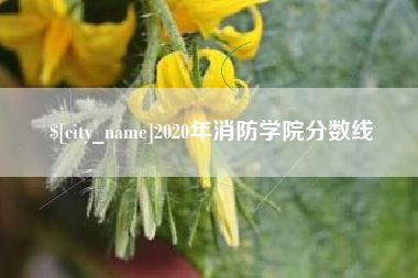 浚县2020年消防学院分数线
