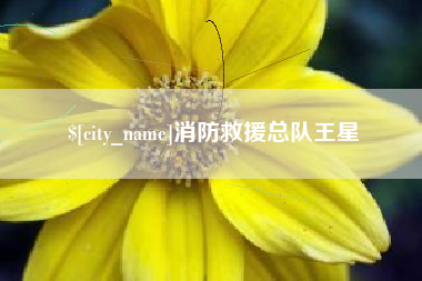 浚县消防救援总队王星
