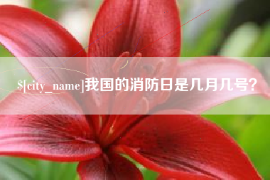 浚县我国的消防日是几月几号？