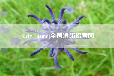 浚县全国消防招考网