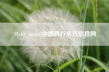 浚县中国执行执行信息网